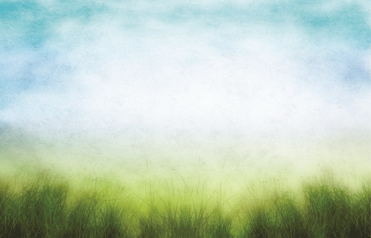 fundo-fotografico-em-tecido-paisagem-2-60x1-50m-fundos-newborn-17